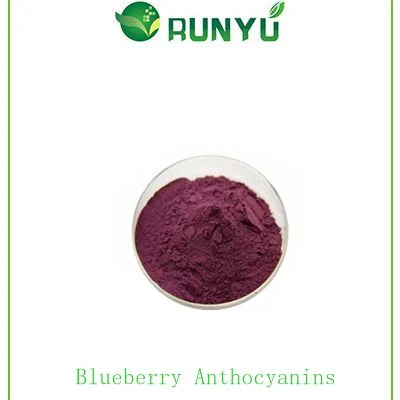 Hot vendre le produit extrait de bleuet Anthocyanidin 25 % d'anthocyanine 36 %