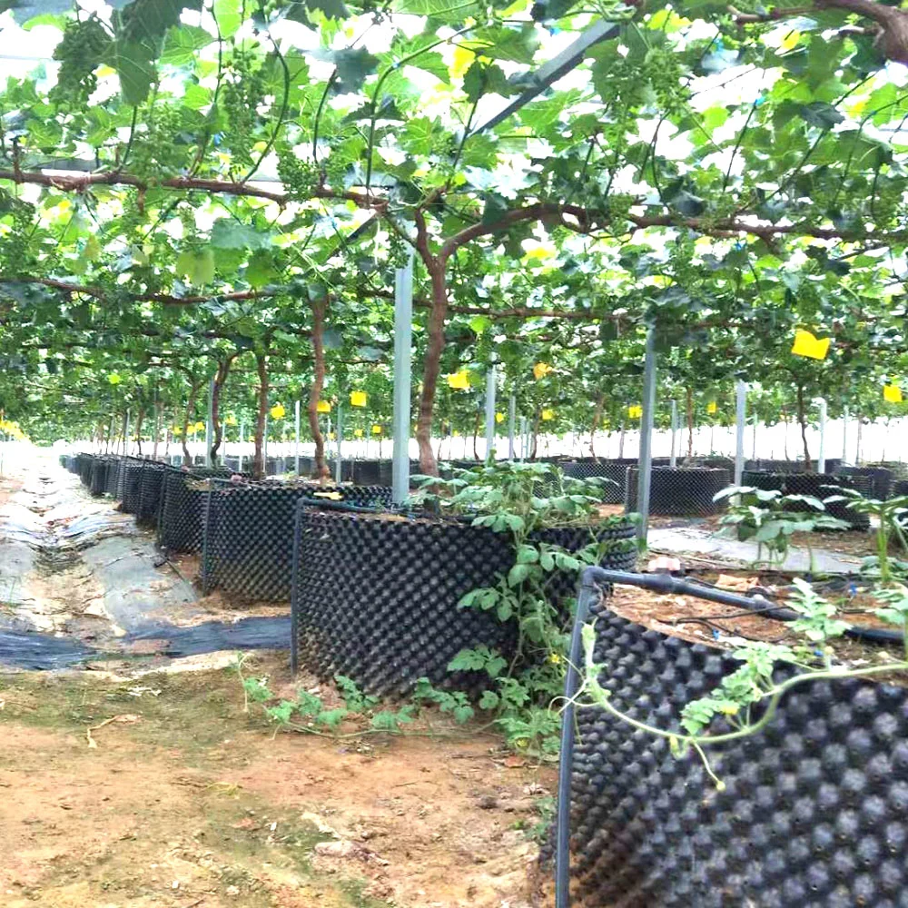 Canaux agricoles NFT poissons symbiose végétale Hydroponique système pour l'écologie Film verre Green House