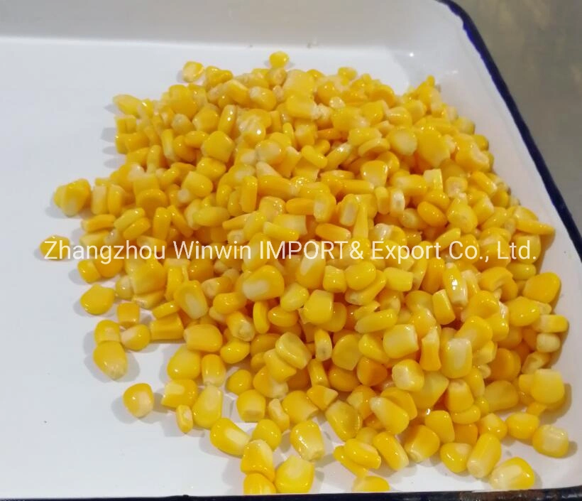 Canned Sweet Corn Canned Corn A10 Good Quality