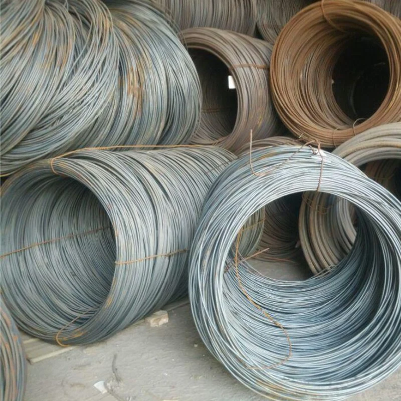 Spot Goods Hot Rolled Bangladesh 8mm Metal Rod Wire SAE1006 Copper SAE 1008 Trade Manufacturer