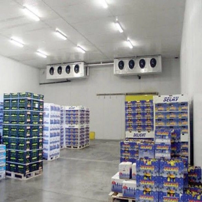 Equipos de refrigeración comercial menos 20 grados de la carne de pollo comida caminando en cámara frigorífica Storage