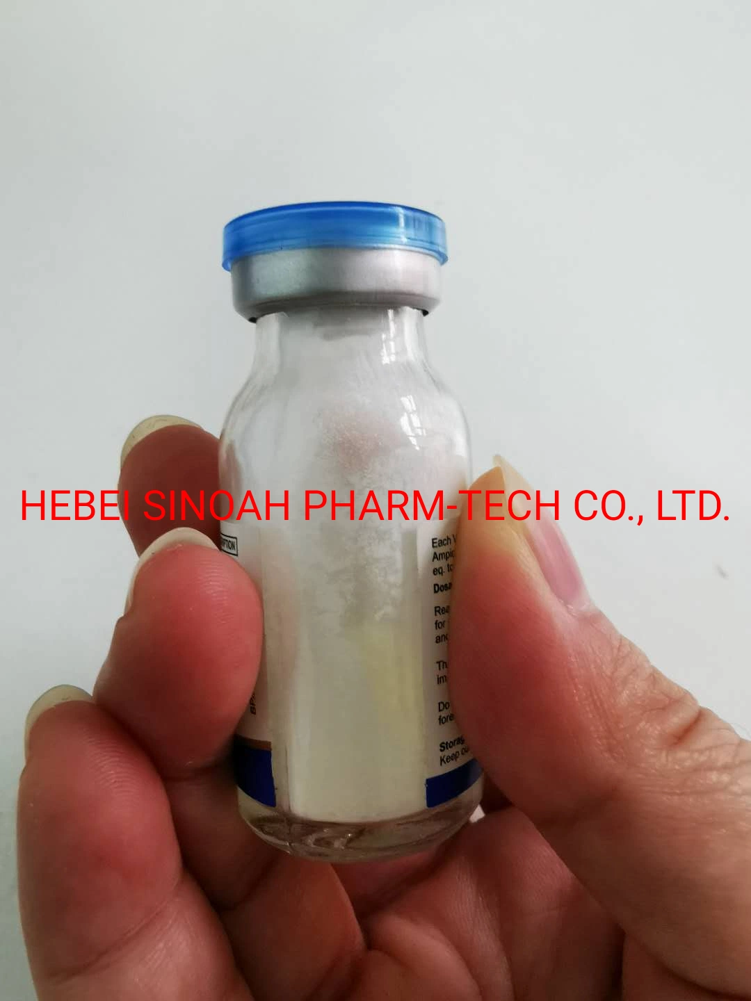 GMP High Quality Medicine Ampicillin Sodium for Injection 0.5g 1.0g