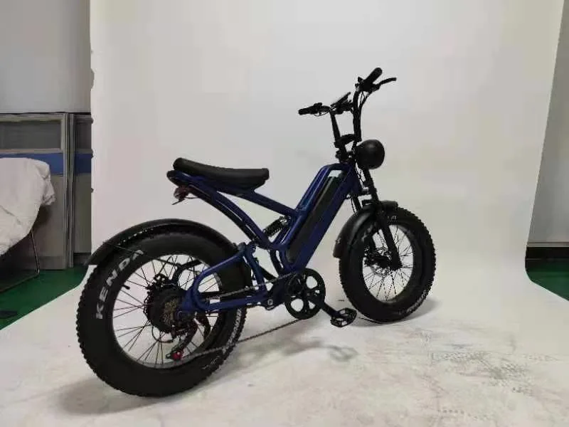 China Neue Art elektrisches Fahrrad 48V 1000W elektrisches City-Fahrrad EV Bike E Cycle Elektrofahrrad