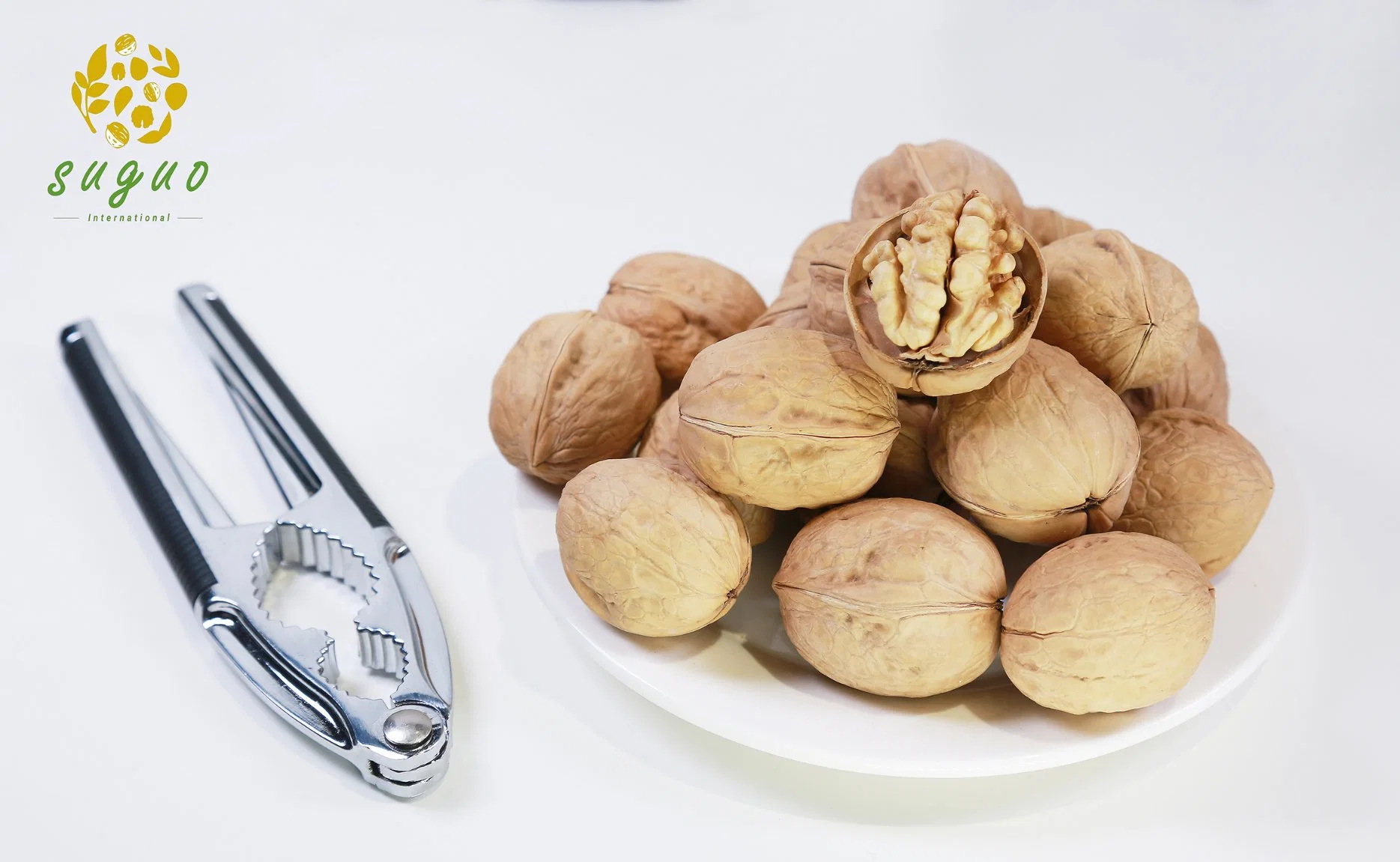 Coquille mince Agolyn frais délicieux de la nutrition noyer chinois/ Noyau en noyer Xinjiang