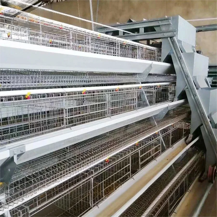 a Type Best Selling Products Layer Poultry Battery Chicken Cages for Sale