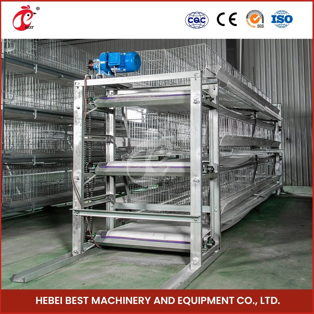 Bestchickencage H Type Pulled Brooder Cage Breeder Cage China Mobile Pullet Hen Manufacturing Wholesale/Supplier Long Service Life 5 Chicken Pullet House Cage