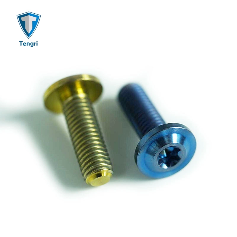 Tornillo de titanio tornillos de titanio para la motocicleta desde Shanghai Tengri