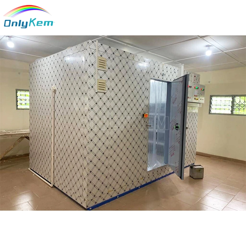 150mm Cold Room Free Door for Interifood Factory/Supermarket/Restaurant/Kitchen