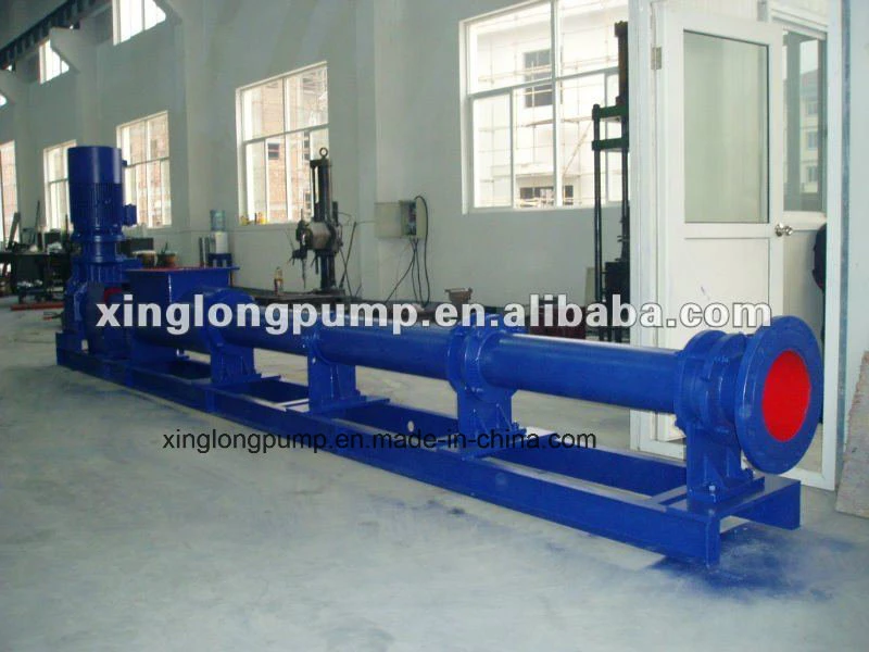 Xg Series Xinglong Single Screw Pump Used in Wastewater Treatment Process