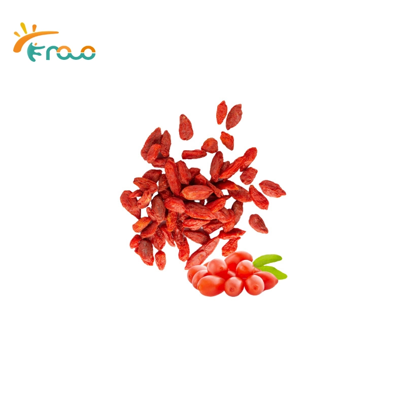 Frutas secas Wolfberry Gojiberry orgânicos de Ningxia Frutos secos em Halal