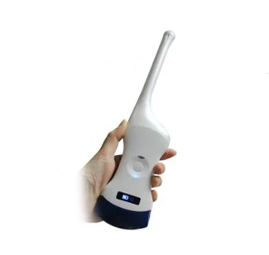 Hq Convex Cavity Probe Portable Pocket Wireless Probe Ultrasound Handheld Ultrasound Scanner Internal WiFi