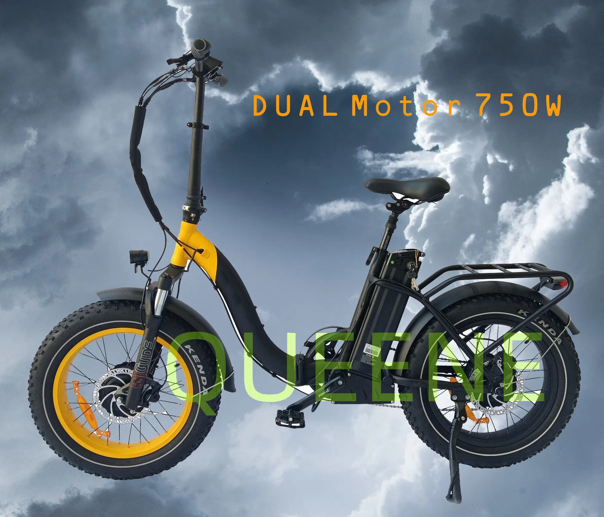 Queene 48V 500W Super Performance Dual Motors Electric Bicycle Mountain Electric Bicycle