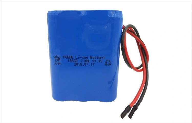 Lithium Ion Battery 12V LiFePO4 Battery Dyson Battery Adapter Lto Battery