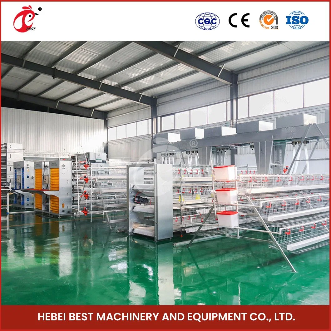 Bestchickencage a Type Layer Cage China Layer Coop Layer Cage Factory OEM Custom Chicken Cages Egg Layer 2000 Configuration Solar Panel Chicken Coop Heater