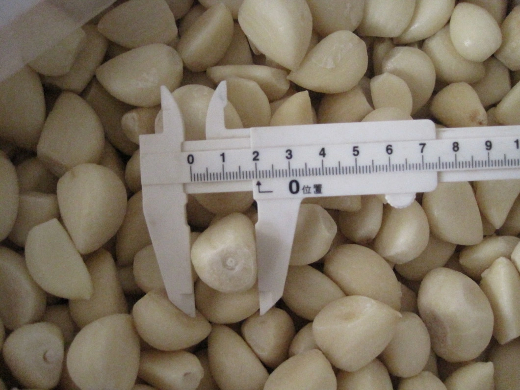 IQF Frozen Garlic Clove, Garlic Segment