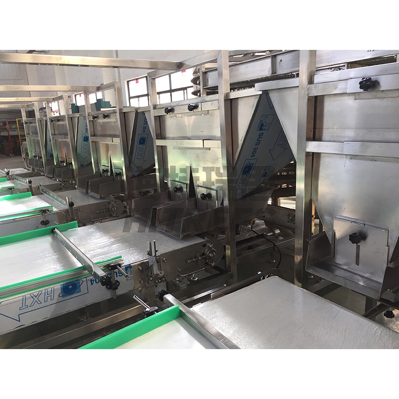 Electric Belt Sorting Machine Conveyor System