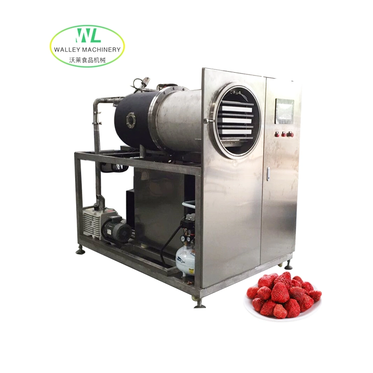 Factory Price Lyophilizer Lab Vacuum Freeze Dryer