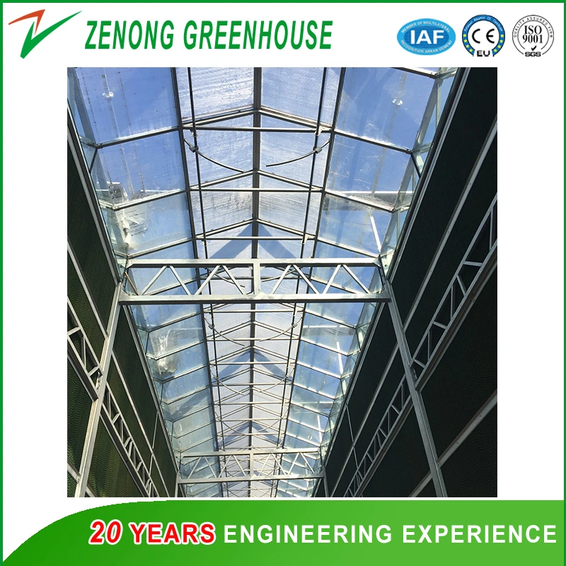 Professional Greenhouse Wet Curtain for Lower The Temperature in The Greenhouse/Poultry Farm