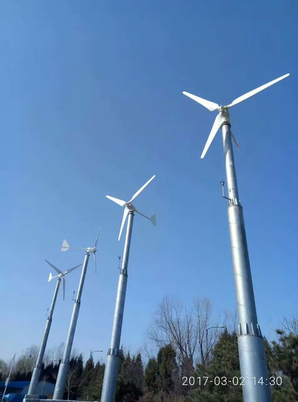 Manufacturer of 10kw 220/380V Wind Turbine