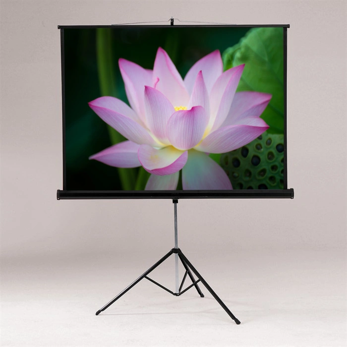 244X244cm Tripod Projector Screen / Projection Screen / Tripod Screen