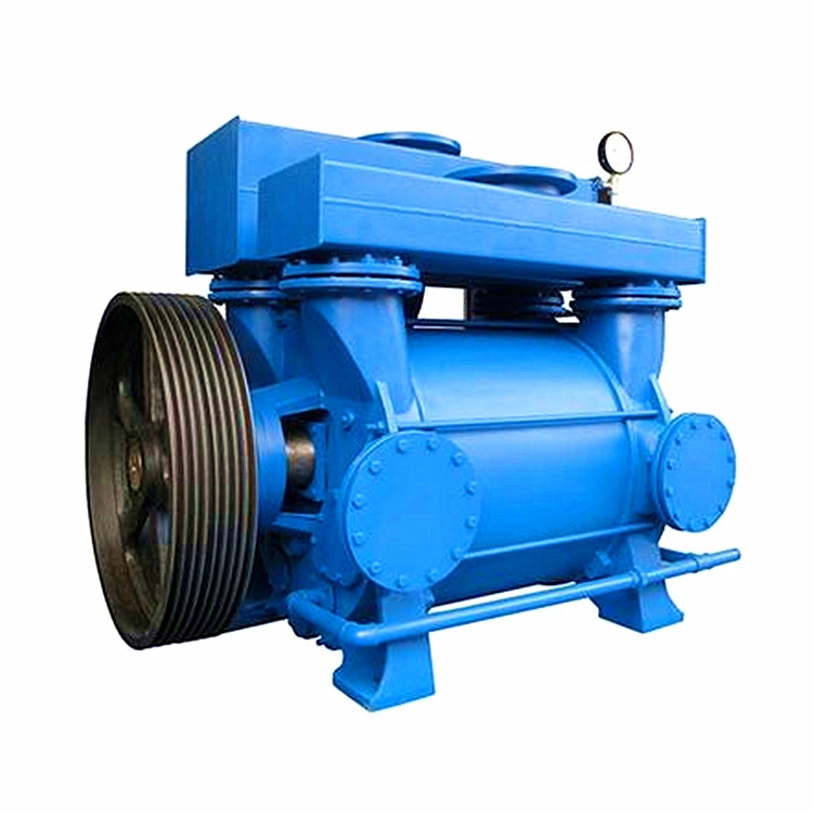 2be Piston Rotary Vane Pump Roots Liquid Water Ring Vacuum Pump for Paper Mill Chemical Fertilizer