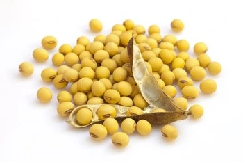 Factory Price Low Calories High-Grade Natural Vegetable Soy Dietary Fiber