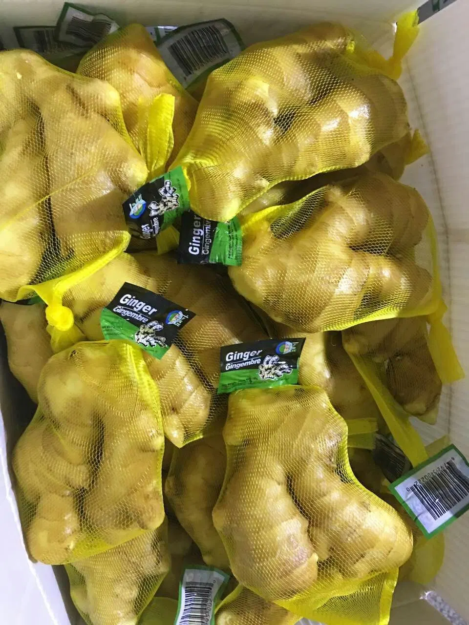 2023 Nouvelle récolte Chine Fat Ginger pour importation/exportation en faible Prix