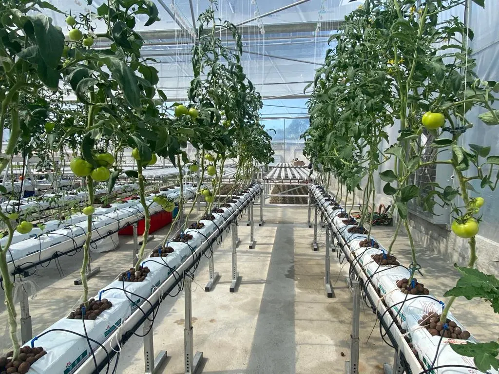 Plantas de cultivo hidropónico tubo de canal de PVC sistema de agricultura interior NFT Equipo