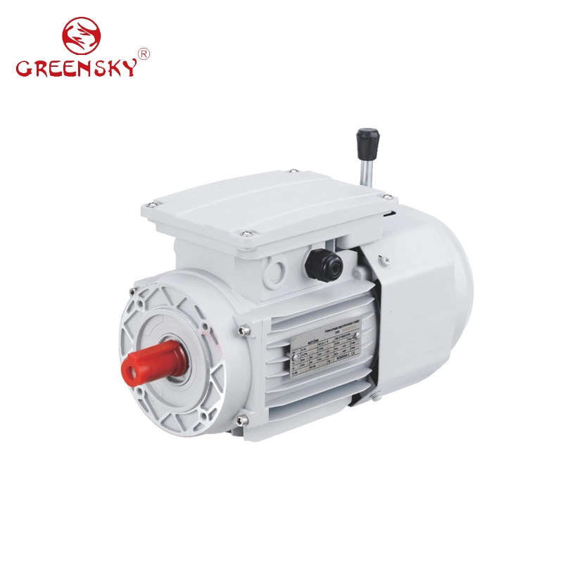 3kw 4HP 380V 400V High Power Induction AC Electric Brake Motors