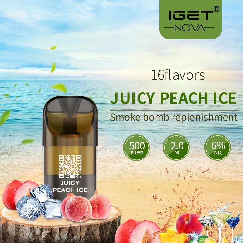 Iget Nova 500 Puffs Replaceable Pods E-Cigarette Disposable Vape Fruit Flavor