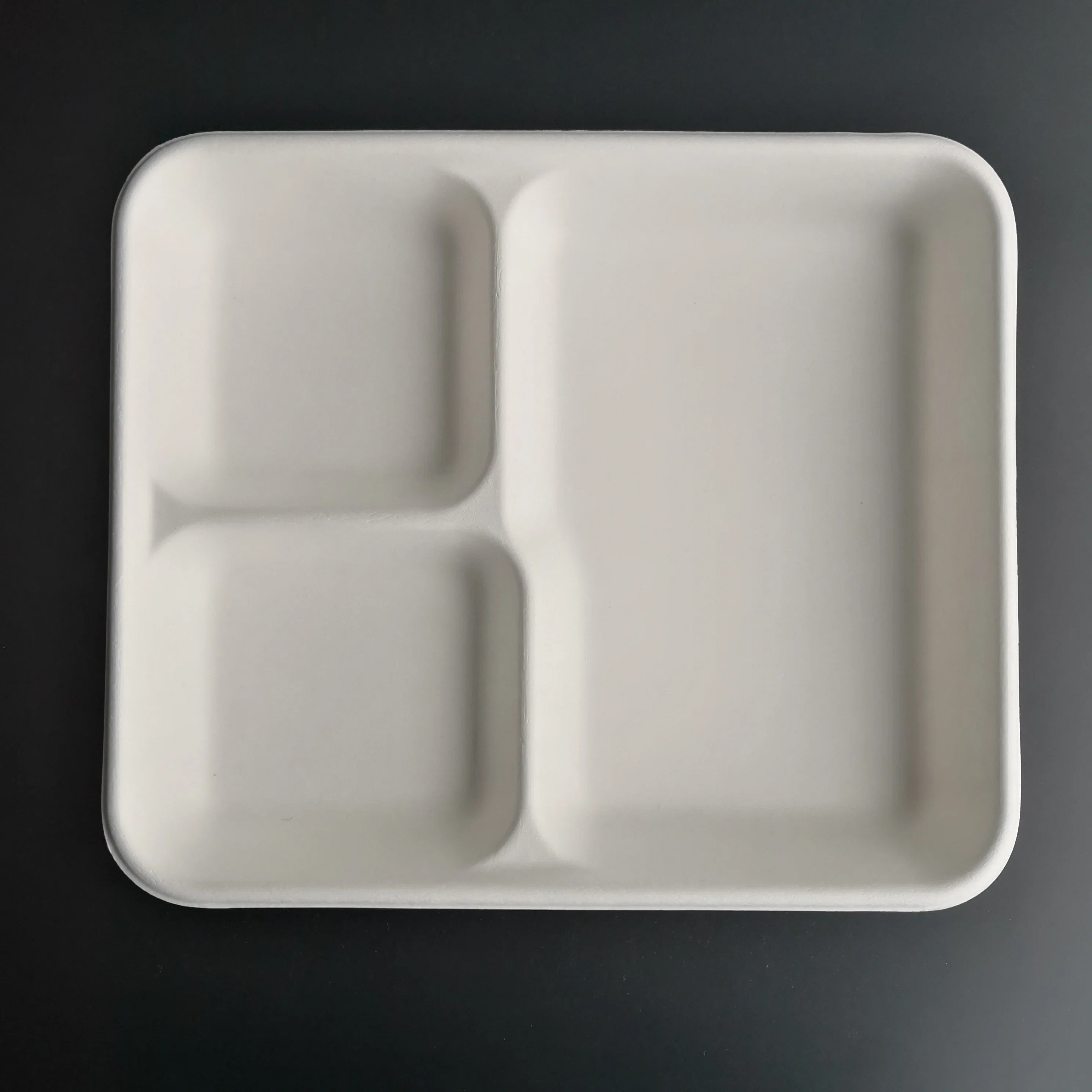 100% Biodegradable Disposable Sugarcane Bagasse 3 Compartment Food Safe Tableware Tray