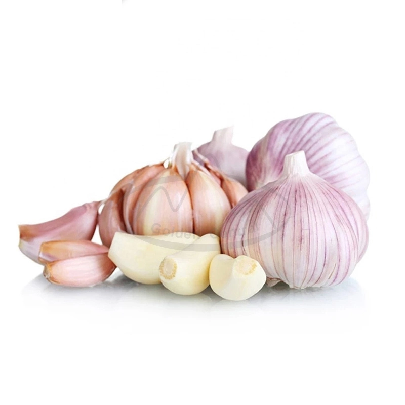 Wholesale/Supplier Fresh Garlic Chinese Supplier Shandong Garlic Fresh Dried White Garlic