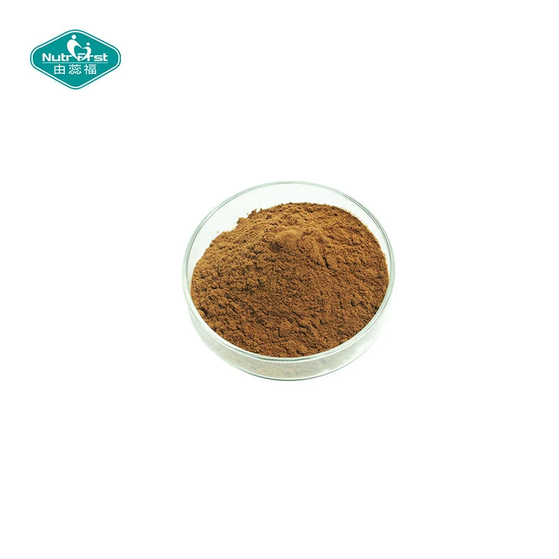 Factory Supply Salicin Extract Salicoside Salicin Powder White Willow Bark Extract Powder