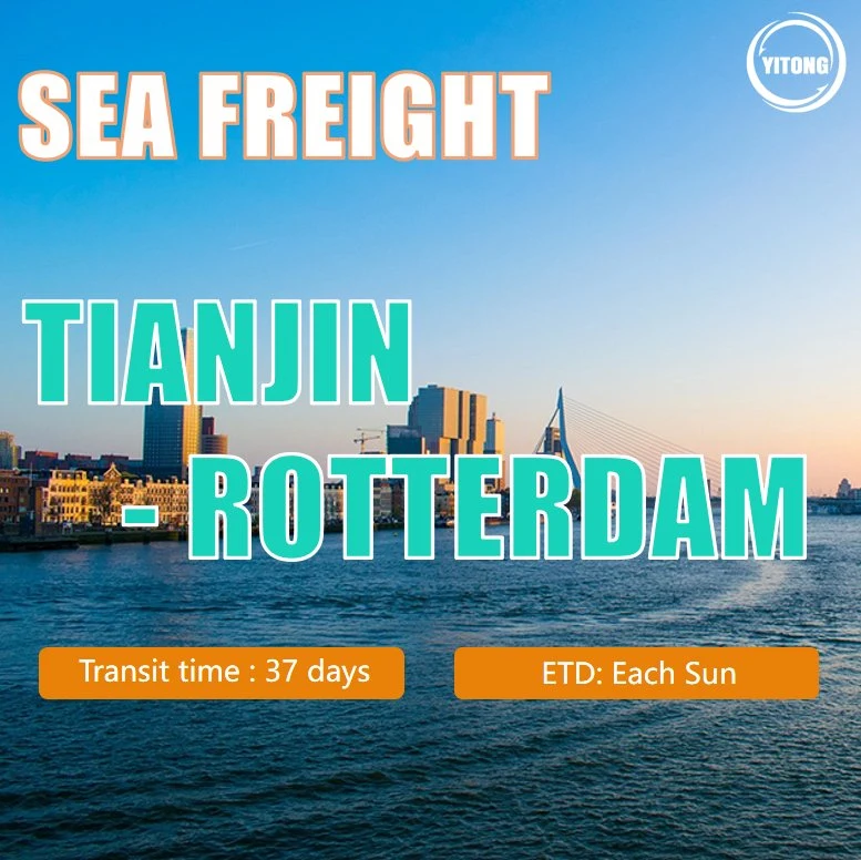 Tarifa de transporte marítimo desde Xiamen a Rotterdam