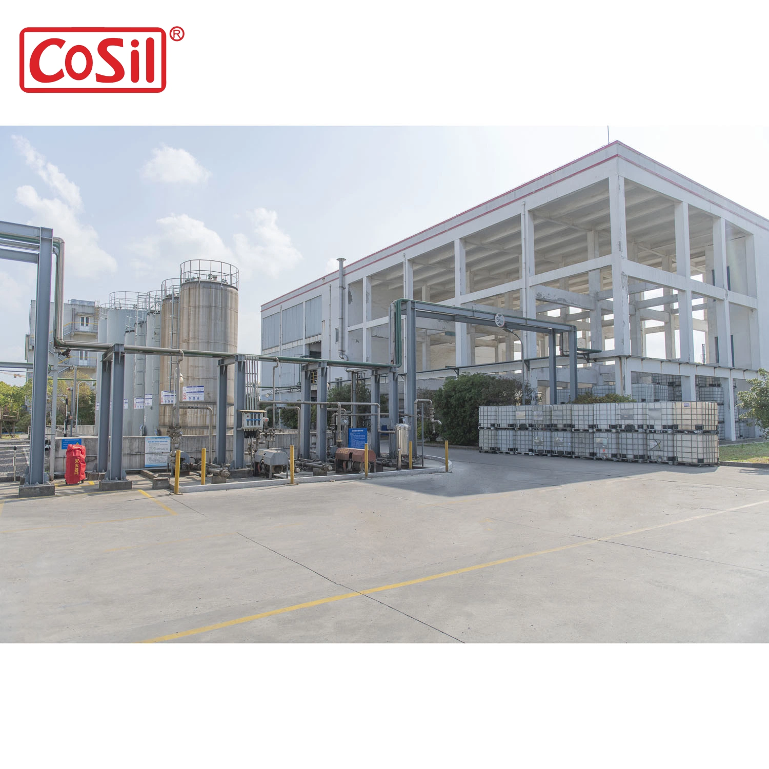 50000cst Professional Manufacturer Oh Polymer CAS 63148-60-7