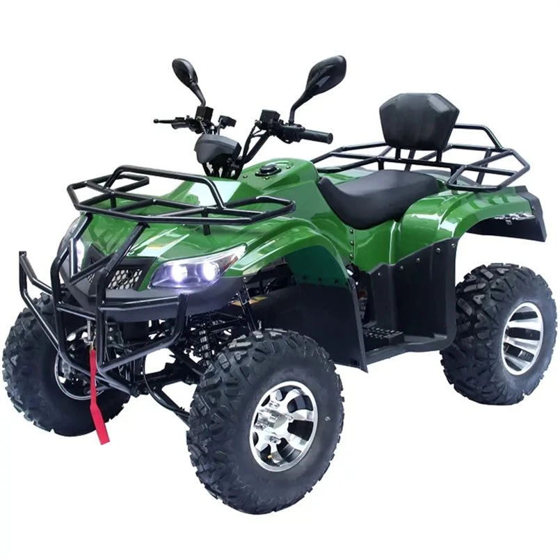 Quad Bike All-Terrain Vehicle 5000W 3000W Quads for Adults Electric ATV