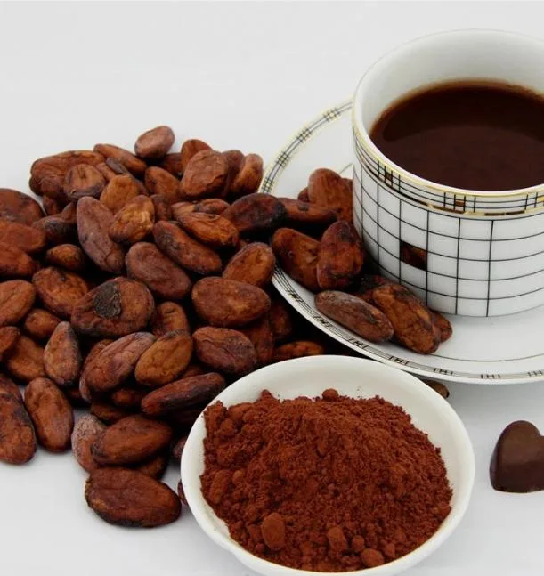 Best Quality Bulk Sales Factory Supply Dark Brown Alkalized Cocoa for Hot Chocolate Drink