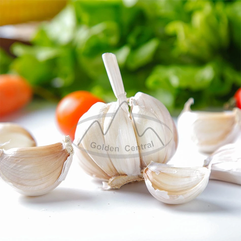 Top Quality of Fresh Pure White Garlic Products From Shandong