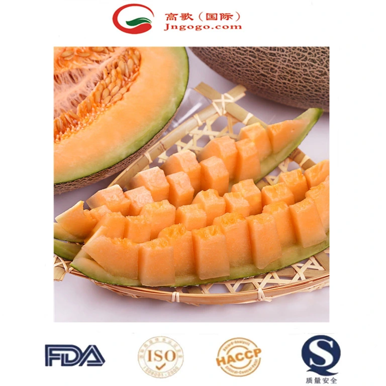 Available New Product Sweet Fresh Cantaloupe Hami Melon