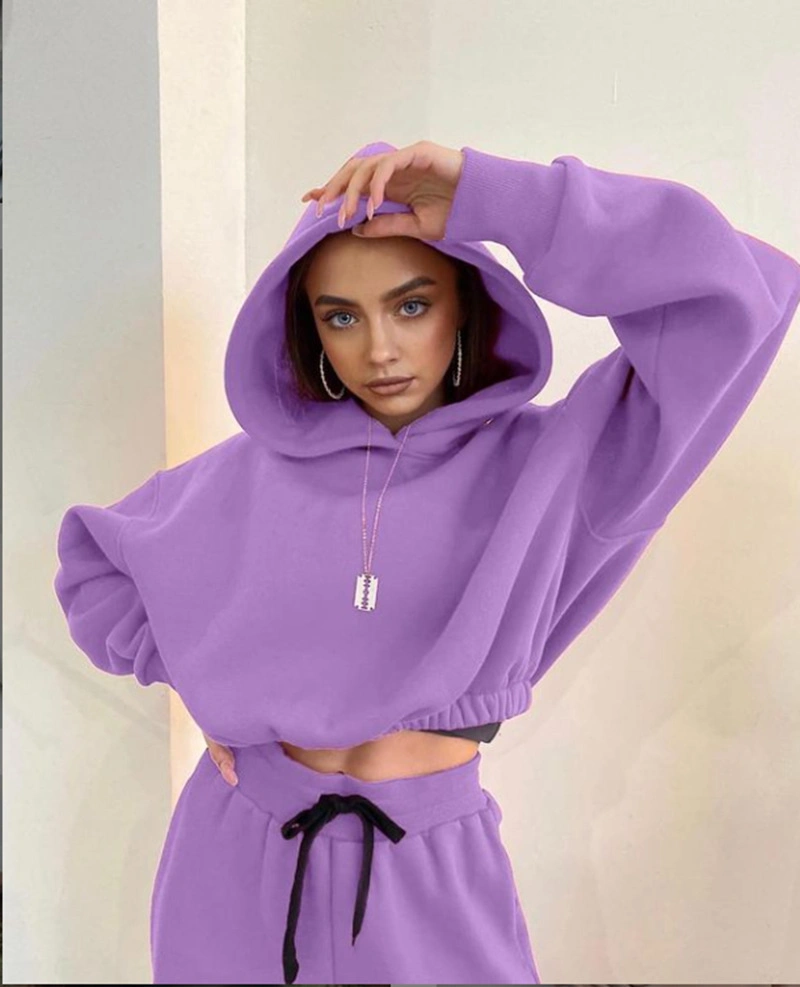 Wholesale/Supplier Sweat Suits Gym Fitness Wear Portswear Activewear Custom Tracksuit Women Sportswear Plain Hoodies Jogging Suit Wear