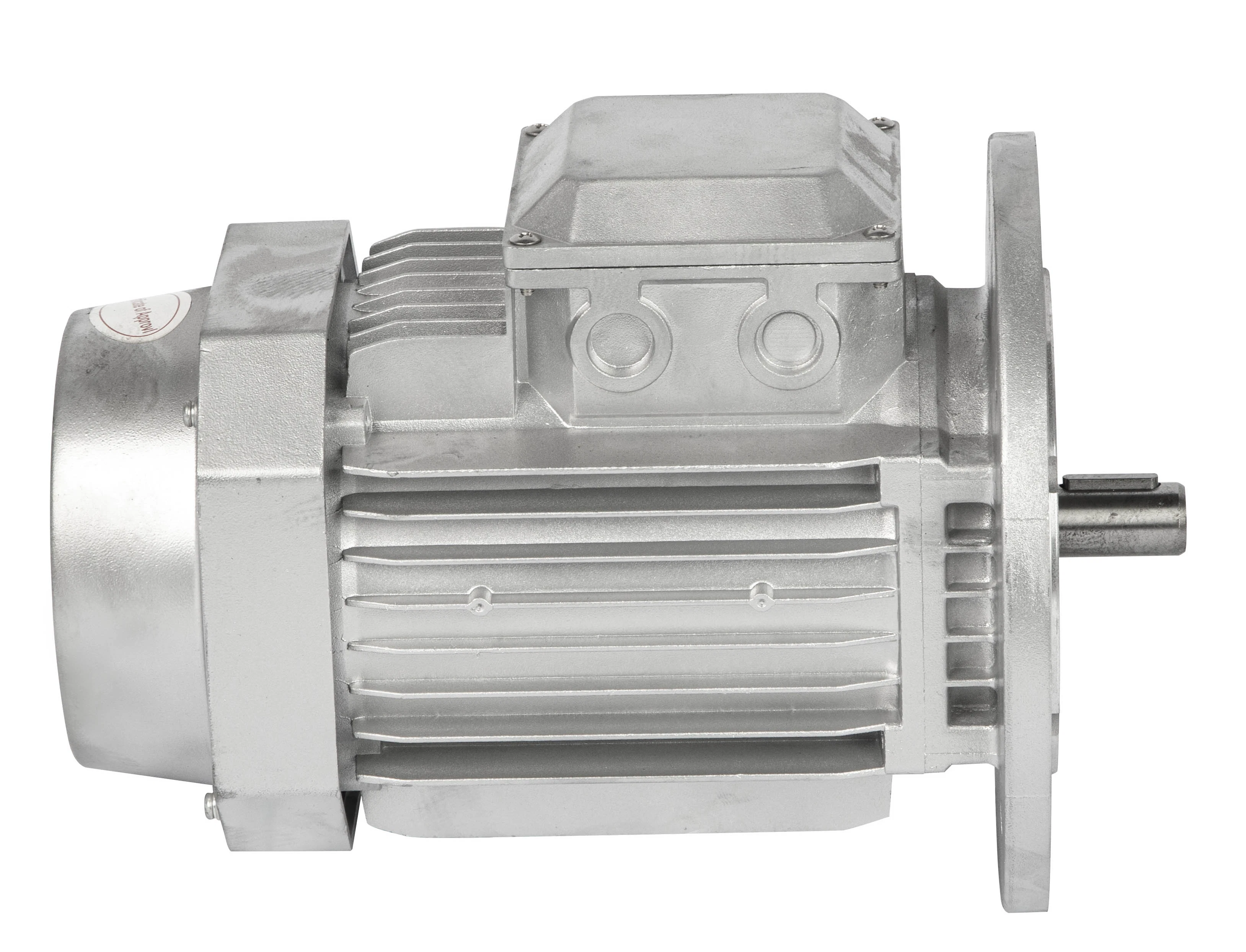 Ie1 Ie2 Ie3 Standard 0.75kw Aluminum Casing Motor Electric Motor Three-Phase Asynchronous Motor