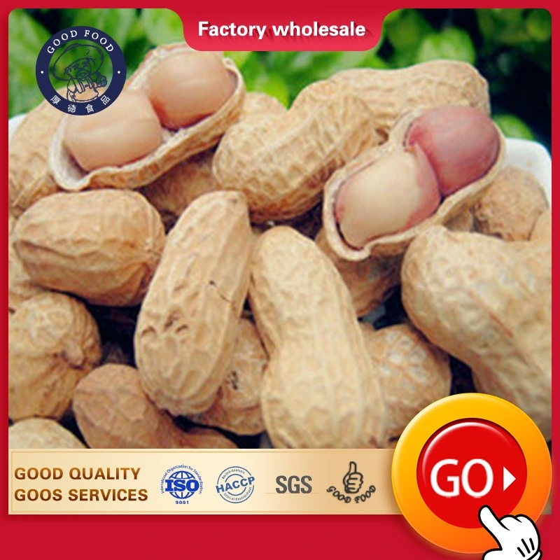 Wholesale/Supplier New Crop Salted Taste Roasted Peanut in Shell Healthy Delicous Salted