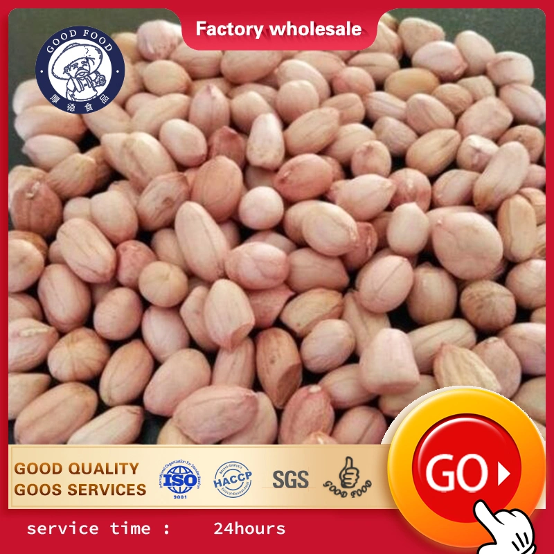 Wholesale/Supplier Peanuts Bulk Wholesale/Supplier Raw Red Skin Kernel Peanut with Factory Price