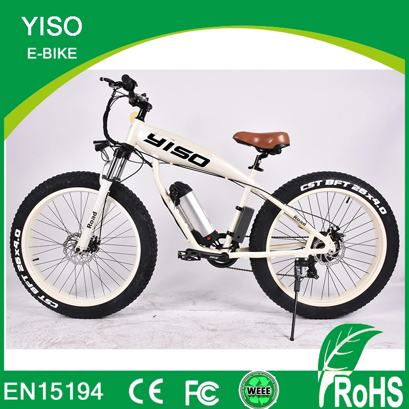 Electric Bicycle with Fat Tires for Riding in Dirt and Rocks