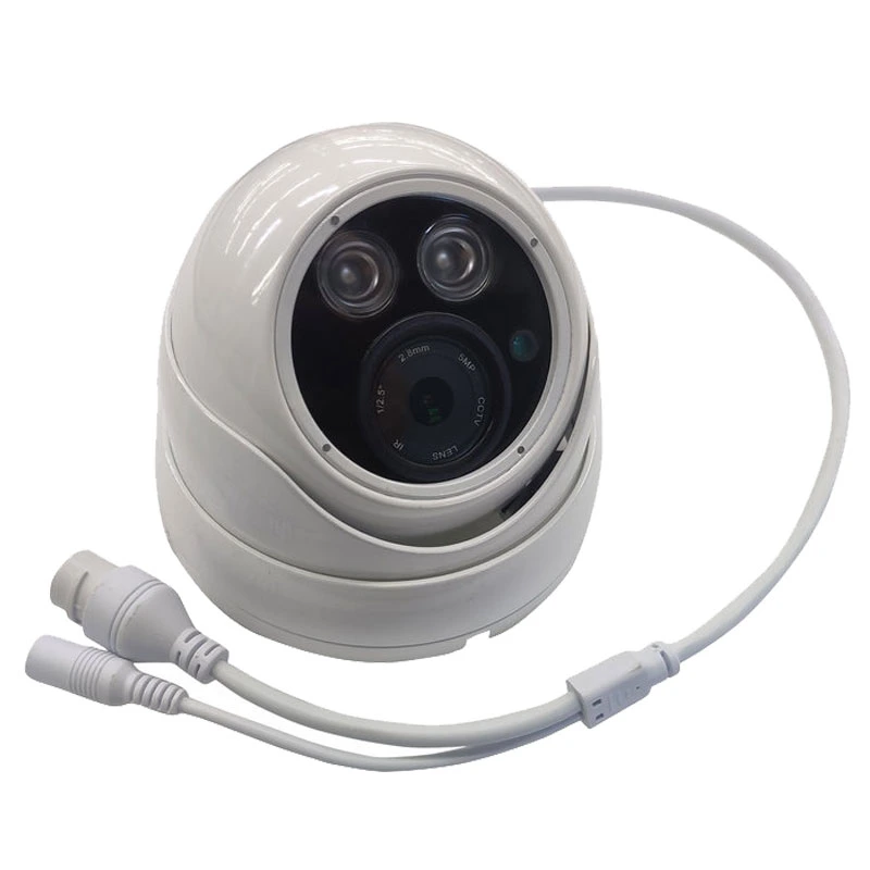 HD 700tvl 1/3 Sony CCD CCTV Security IR Infrared Day Night Dome Audio Mic Camera