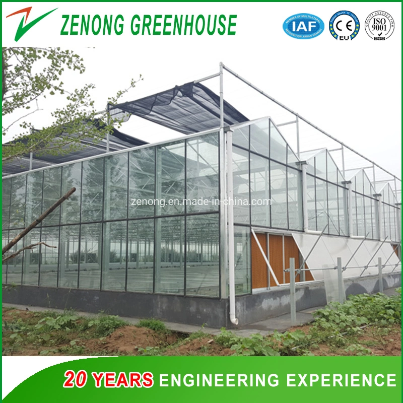 Water Cooling Pads/Evaporative Cooling Fan/Ventilation Fans/Exhausted Fan for Greenhouse/Livestock