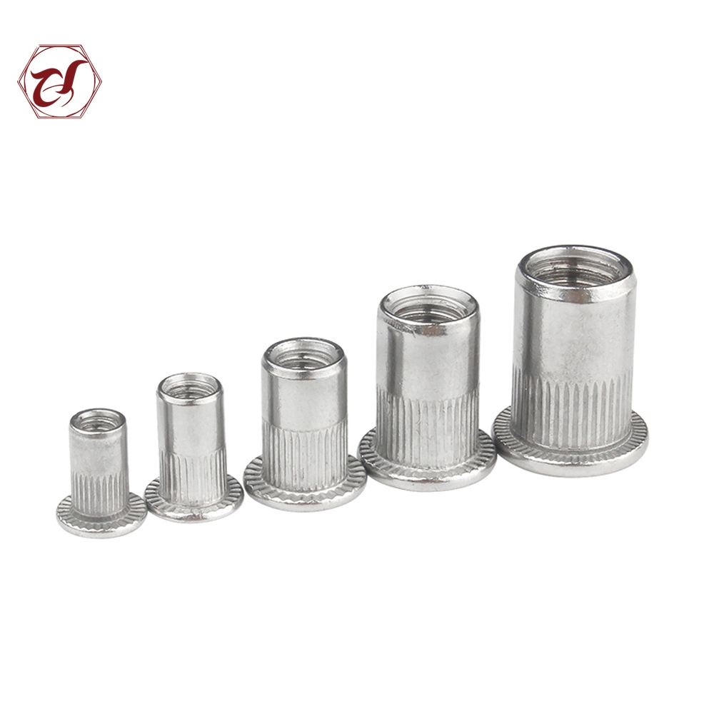 Flat Head Stainless Steel 304 Rivet Nut Blind Nut