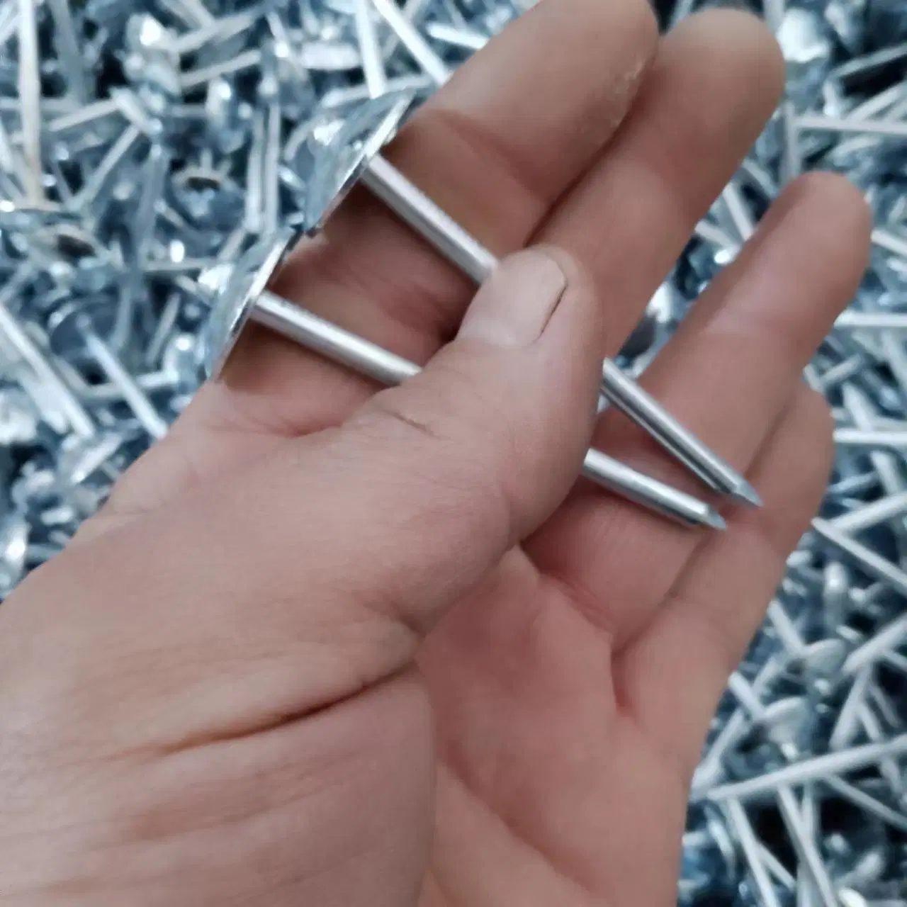 114 X 0120 Roof Nails Ceiling Roof Nails Eg Roofing Nails Asphalt Roof Nails