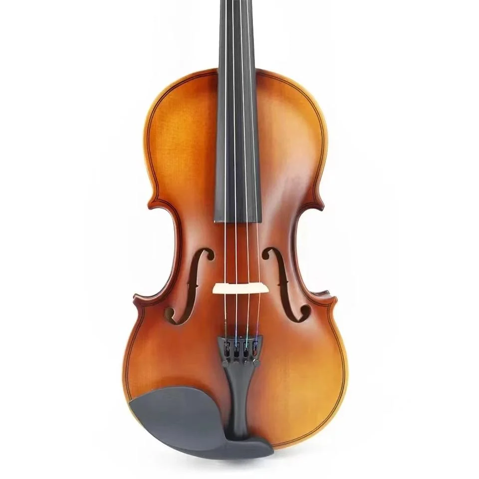 سبروس 4/4 فيولين من الصين ضد المياه Violin قضية