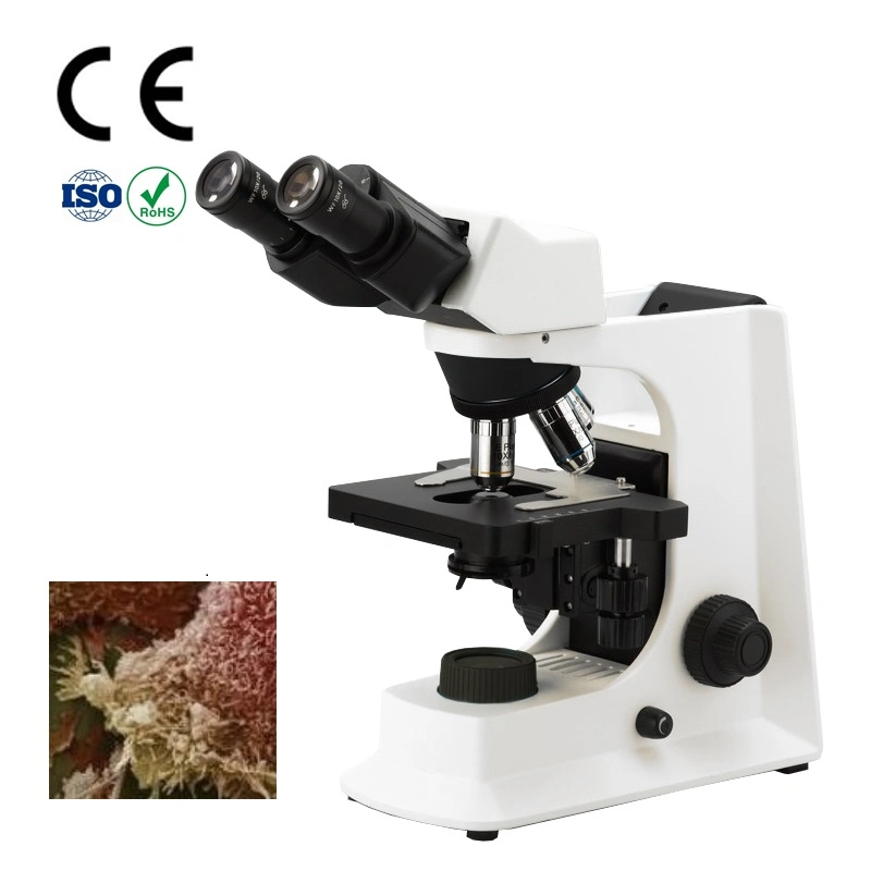 Laboratory Quadruple Nosepiece Biological Microscope Factory Price for Smart-3LED